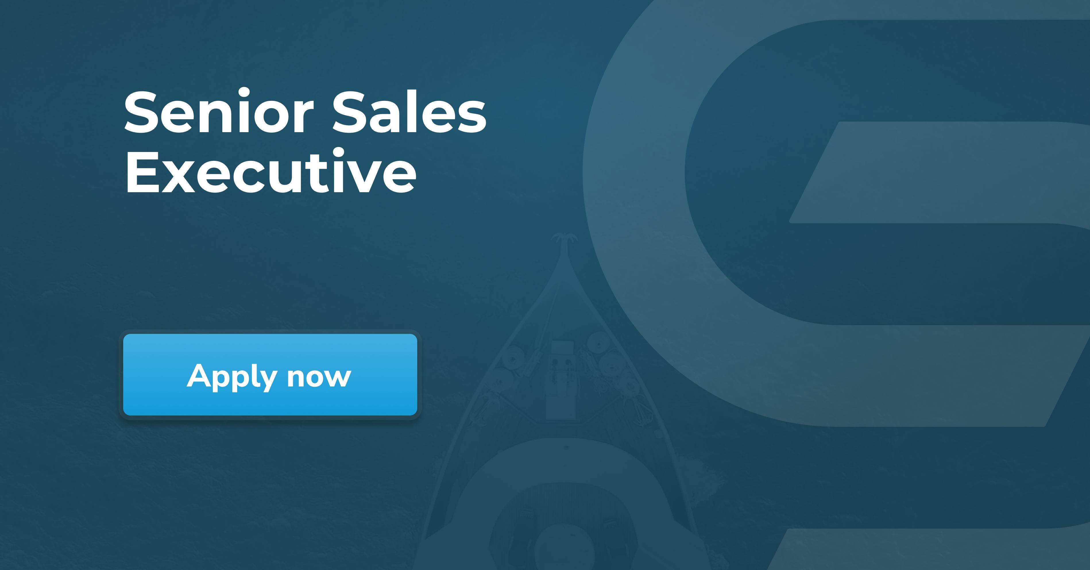 Senior Sales Executive Scancruit